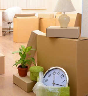 removalist Australia